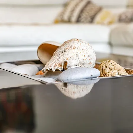 ヴィラ Villa La Fleur Des Dunes *