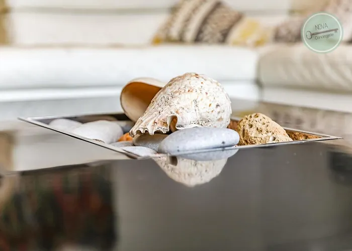 La Fleur Des Dunes Saint-Jean-de-Monts